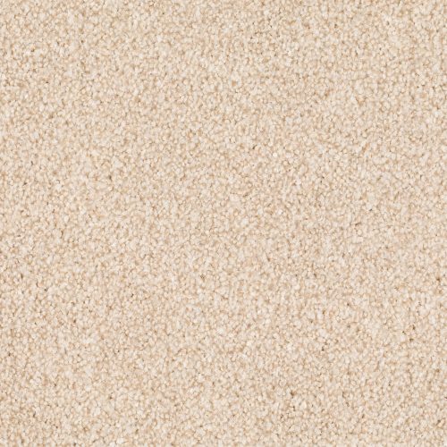 Format 25 Tapijt Anden 500cm Kleur 240