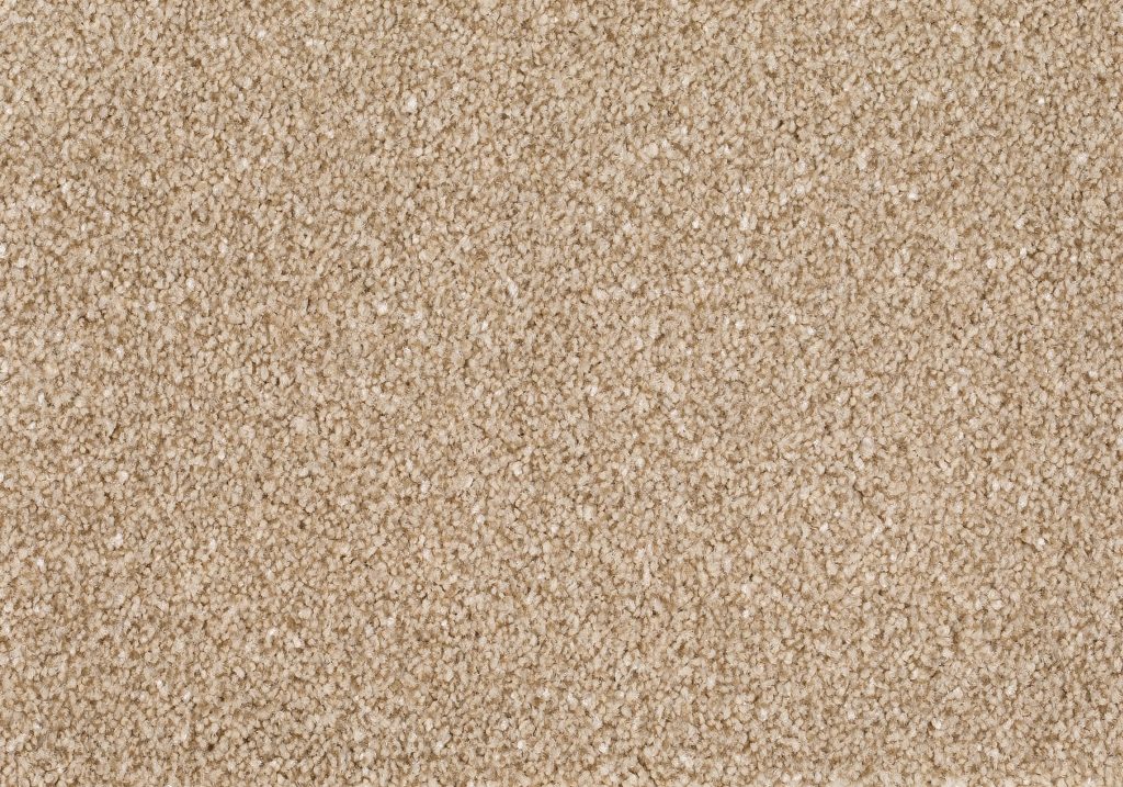 Format 25 Tapijt Anden 500cm Kleur 250