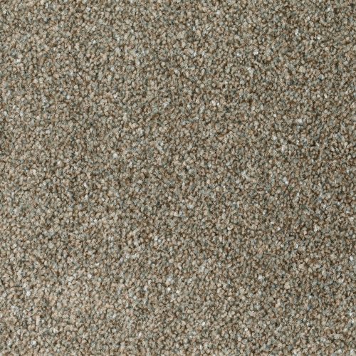 Format 25 Tapijt Anden 500cm Kleur 260