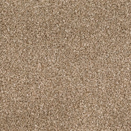 Format 25 Tapijt Anden 500cm Kleur 270