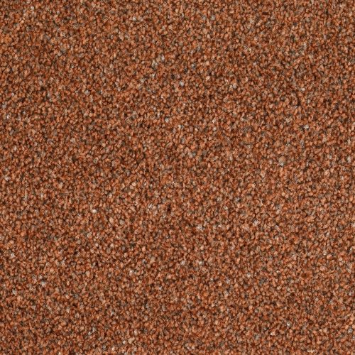 Format 25 Tapijt Anden 500cm Kleur 310