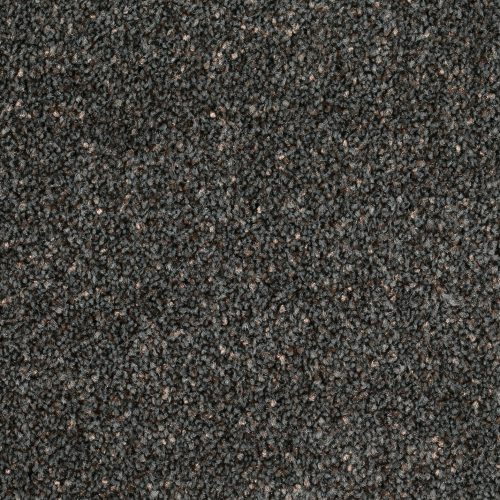 Format 25 Tapijt Anden 500cm Kleur 810