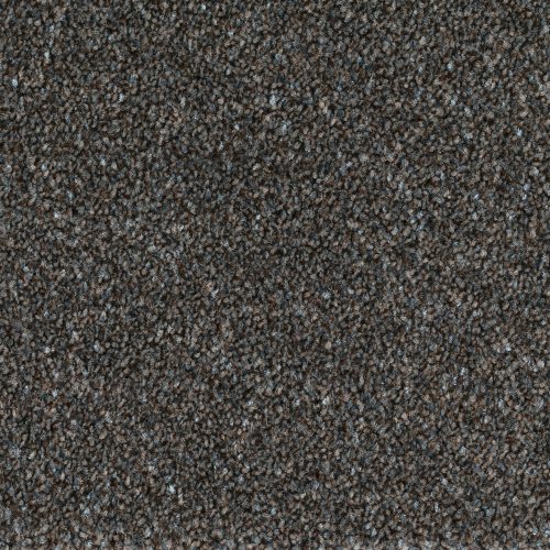 Format 25 Tapijt Anden 500cm Kleur 820