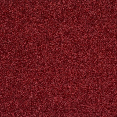 Format 25 Tapijt Cosaro 400cm Kleur 150