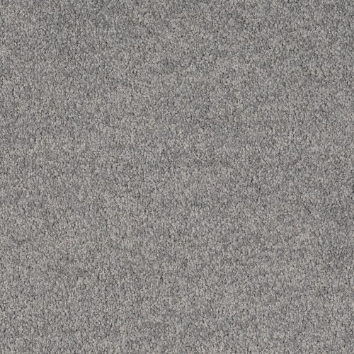 Format 25 Tapijt Cosaro 400cm Kleur 530