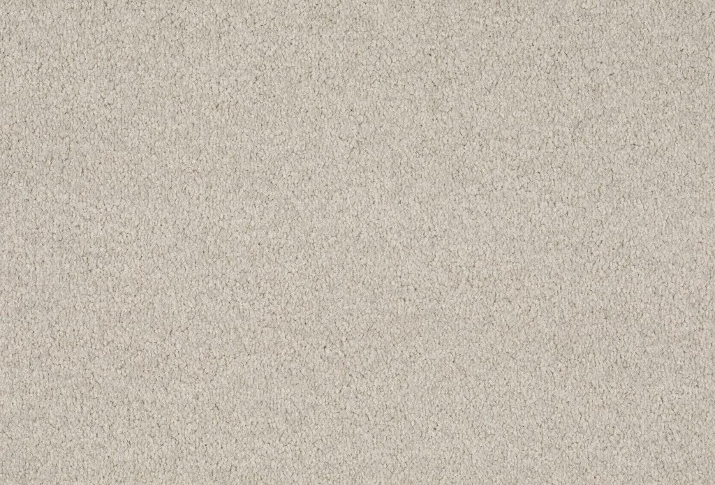 Format 25 Tapijt Cosaro 400cm Kleur 535