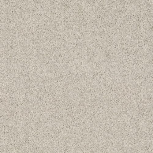 Format 25 Tapijt Cosaro 400cm Kleur 535