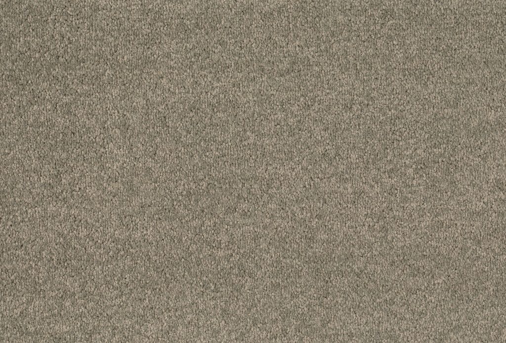 Format 25 Tapijt Cosaro 400cm Kleur 545