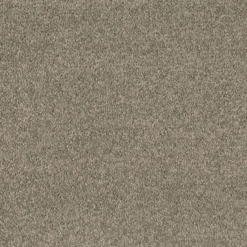 Format 25 Tapijt Cosaro 400cm Kleur 545