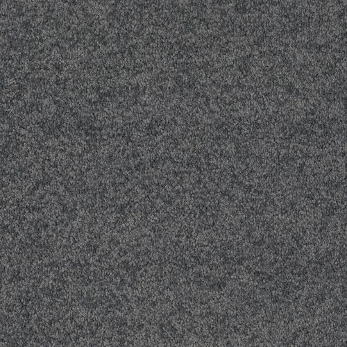 Format 25 Tapijt Cosaro 400cm Kleur 570