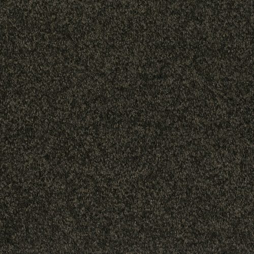 Format 25 Tapijt Cosaro 400cm Kleur 750