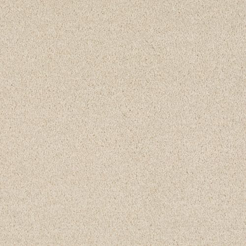 Format 25 Tapijt Cosaro 400cm Kleur 800