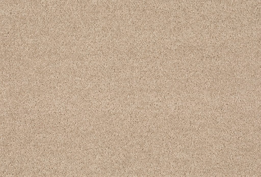 Format 25 Tapijt Cosaro 400cm Kleur 810