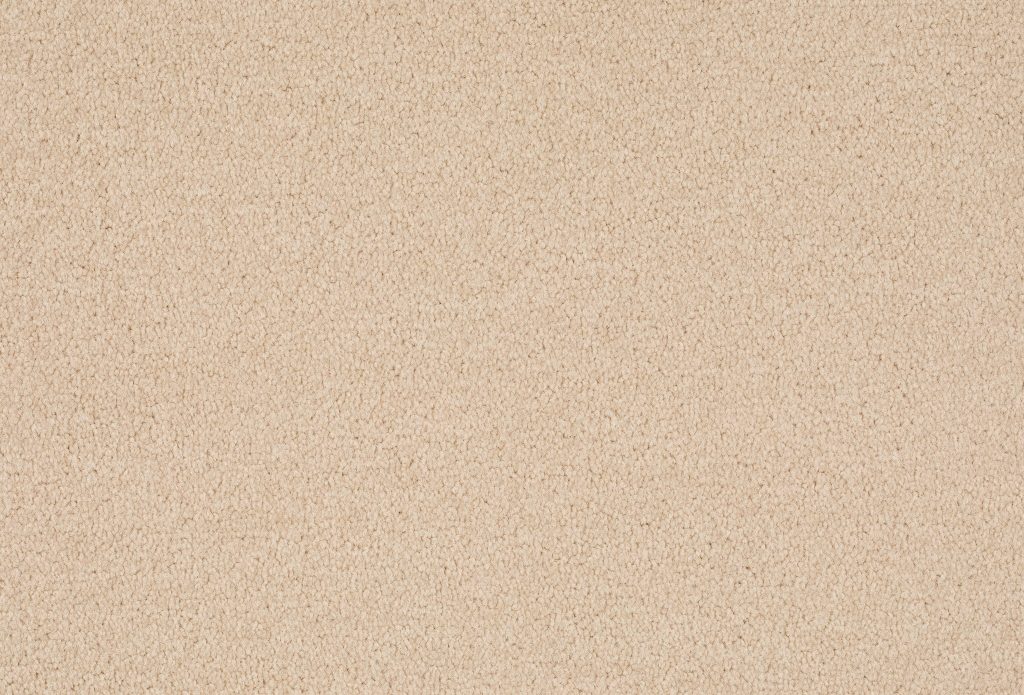 Format 25 Tapijt Cosaro 400cm Kleur 820