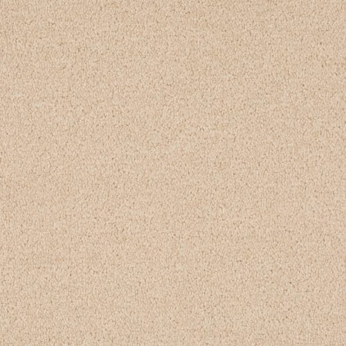 Format 25 Tapijt Cosaro 400cm Kleur 820