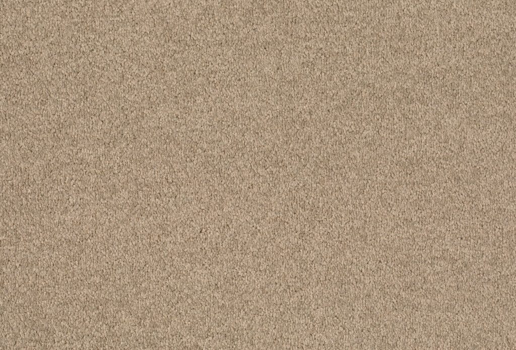 Format 25 Tapijt Cosaro 400cm Kleur 830