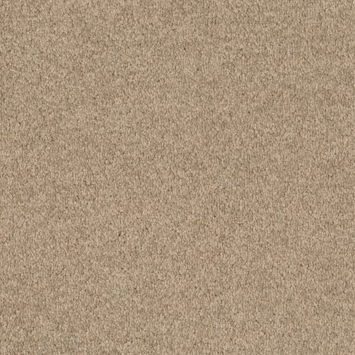 Format 25 Tapijt Cosaro 400cm Kleur 830