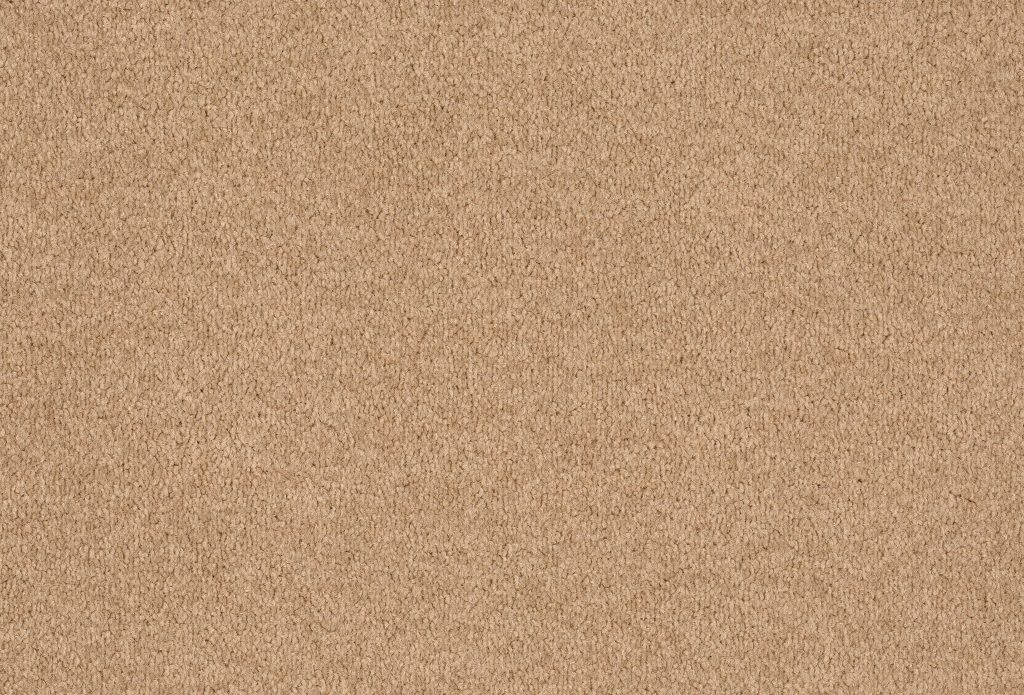 Format 25 Tapijt Cosaro 400cm Kleur 840