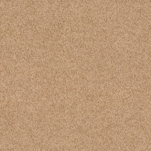 Format 25 Tapijt Cosaro 400cm Kleur 840