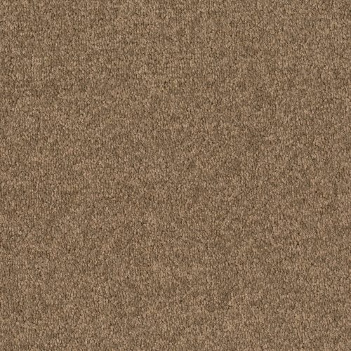 Format 25 Tapijt Cosaro 400cm Kleur 860