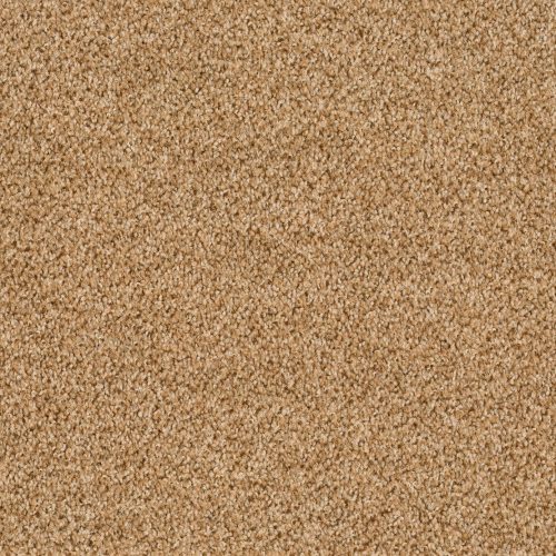 Format 25 Tapijt Fair 400cm Kleur 231