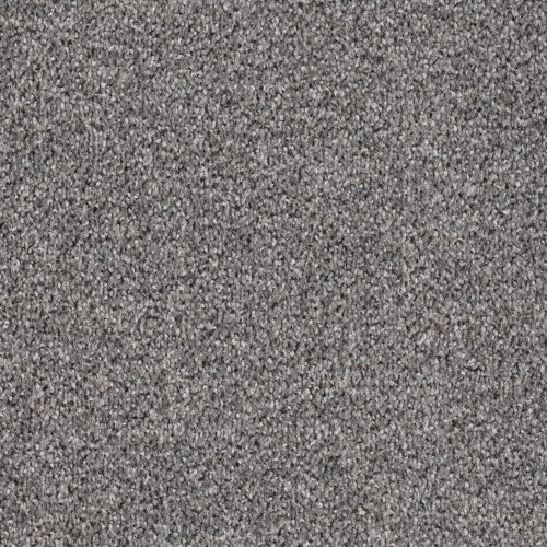 Format 25 Tapijt Fair 400cm Kleur 541