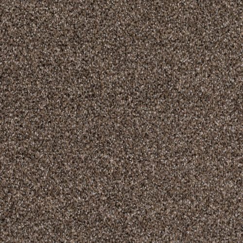 Format 25 Tapijt Fair 400cm Kleur 710