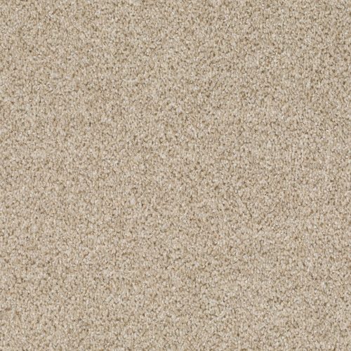 Format 25 Tapijt Fair 400cm Kleur 830