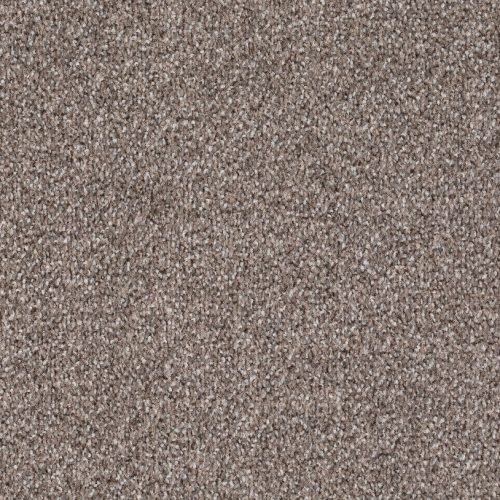 Format 25 Tapijt Fair 400cm Kleur 841