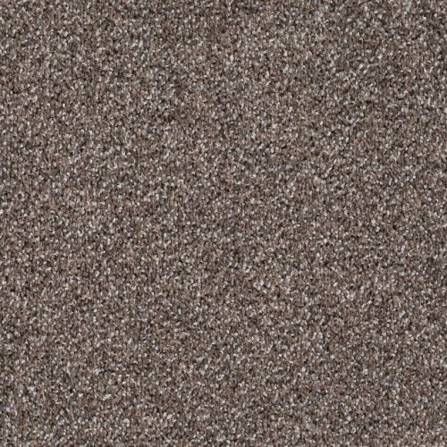 Format 25 Tapijt Fair 400cm Kleur 861