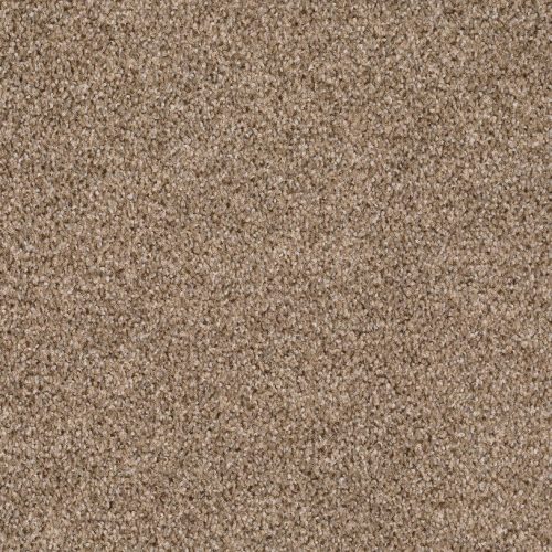 Format 25 Tapijt Fair 400cm Kleur 870