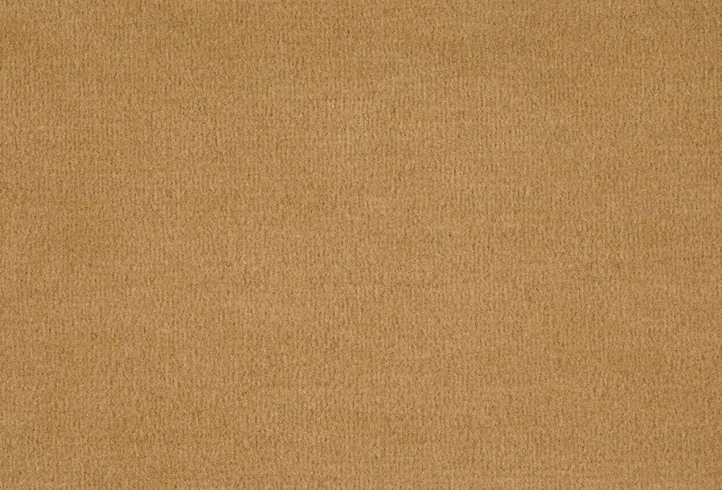 Format 25 Tapijt Komet 400cm Kleur 231