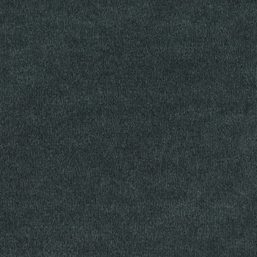 Format 25 Tapijt Komet 400cm Kleur 551