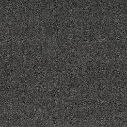 Format 25 Tapijt Komet 400cm Kleur 751