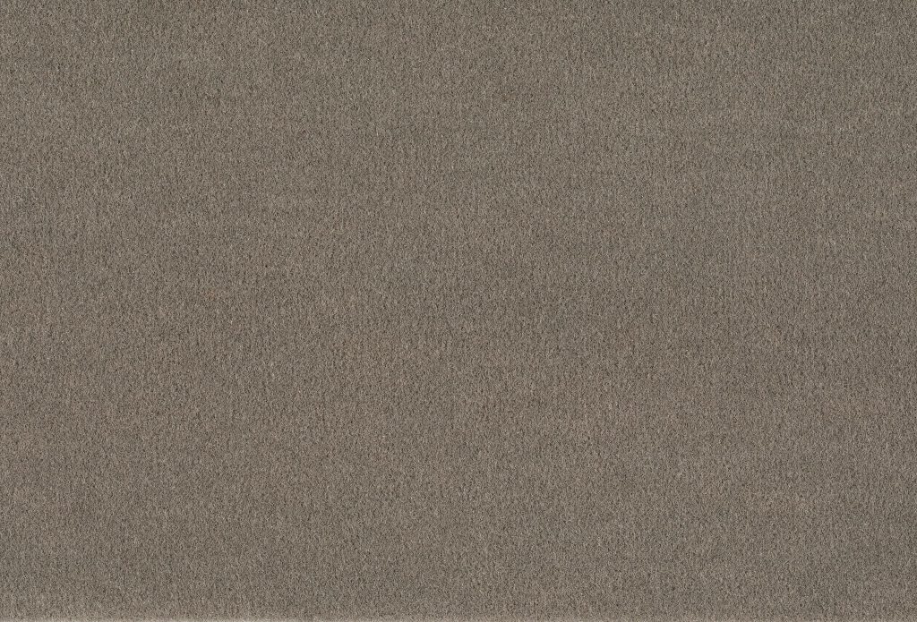 Format 25 Tapijt Komet 400cm Kleur 870