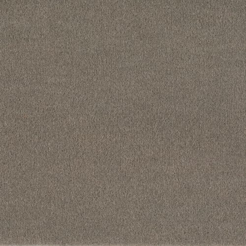 Format 25 Tapijt Komet 400cm Kleur 870