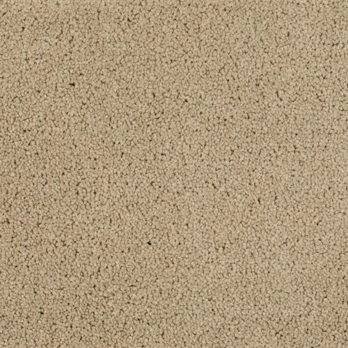 Format 25 Tapijt Level 400cm Kleur 72