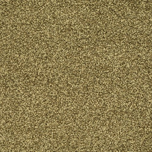 Format 25 Tapijt Linux 500cm Kleur 24