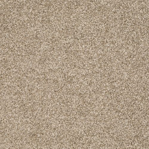 Format 25 Tapijt Linux 500cm Kleur 39