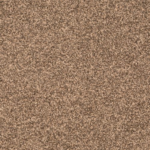 Format 25 Tapijt Linux 500cm Kleur 43