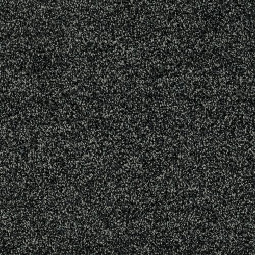 Format 25 Tapijt Linux 500cm Kleur 99