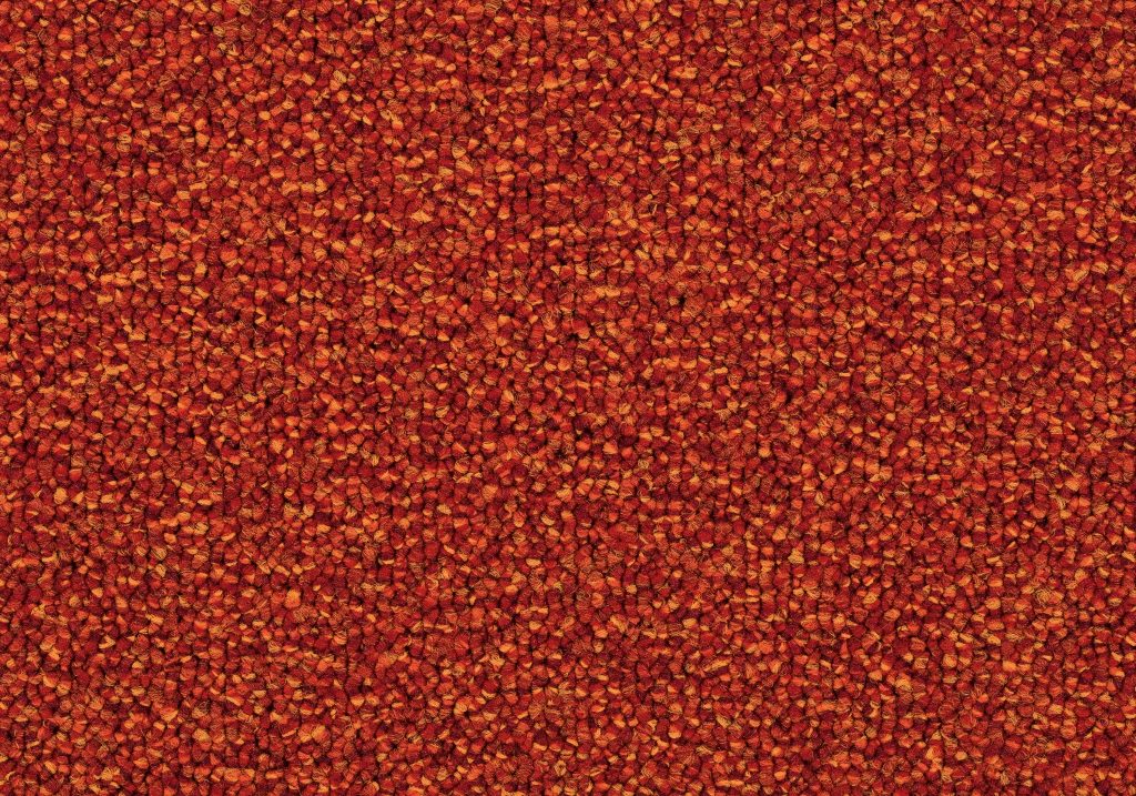 Format 25 Tapijt Menuett 400cm Kleur 106