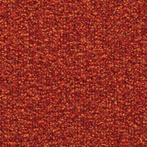 Format 25 Tapijt Menuett 400cm Kleur 106