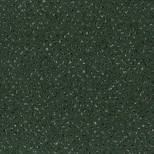 Format 25 Tapijt Oslo 400cm Kleur 46