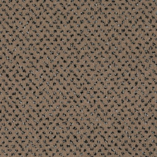 Format 25 Tapijt Oslo 400cm Kleur 72