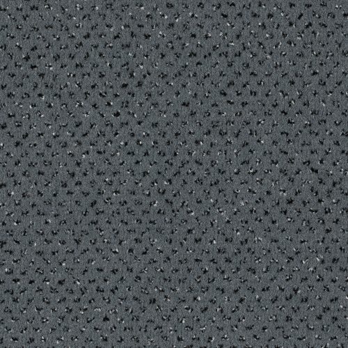 Format 25 Tapijt Oslo 400cm Kleur 76