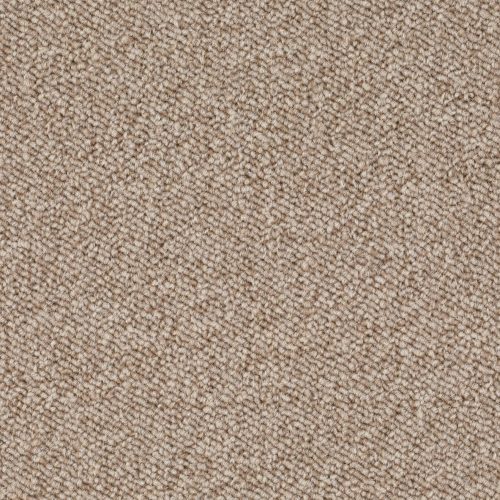 Format 25 Tapijt Pinoli 500cm Kleur 33