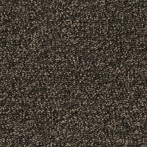 Format 25 Tapijt Pinoli 500cm Kleur 45