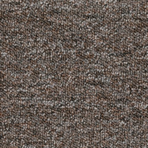 Format 25 Tapijt Rapid 500cm Kleur 529