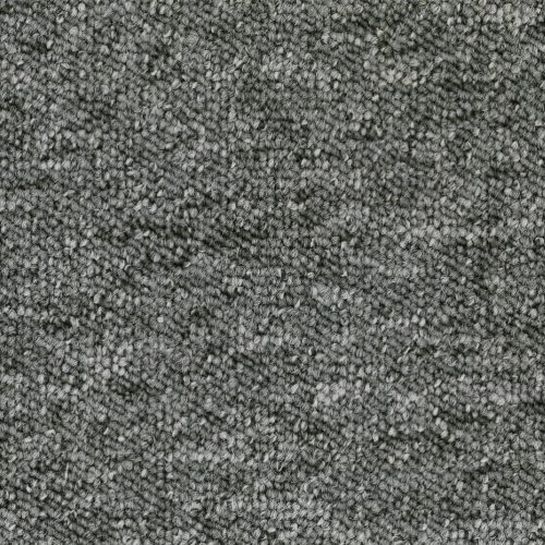 Format 25 Tapijt Rapid 500cm Kleur 573